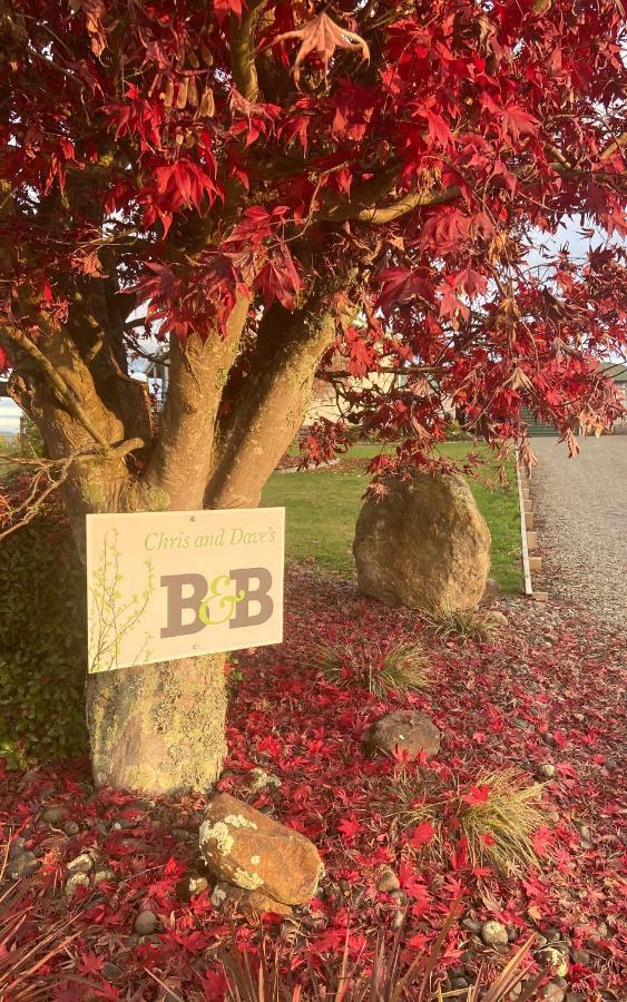 Chris And Dave'S B & B Otorohanga Exteriör bild